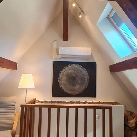 Apartment Avalon Iii Thannenkirch
