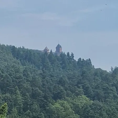Avalon Iii * Танненкирш
